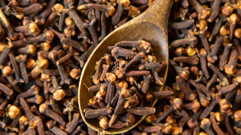 Karanfil hangi hastalıklara iyi gelir? Karanfil kaynatıp içmek ne işe yarar?