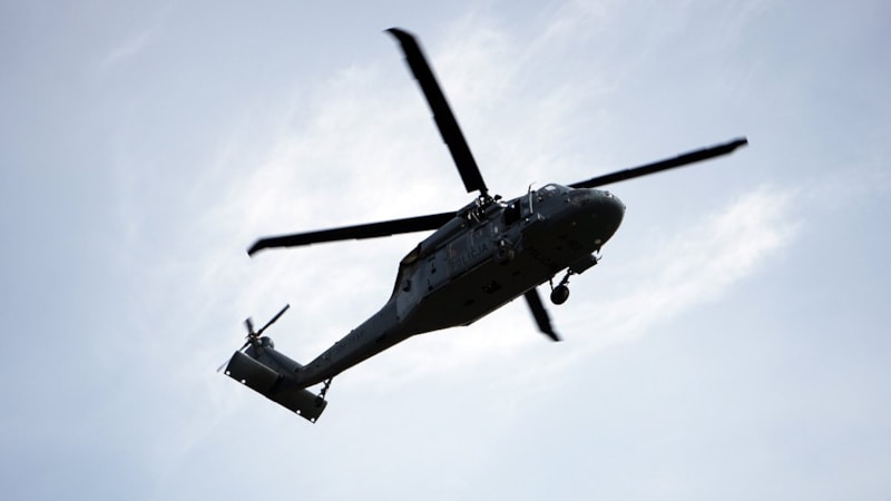 Polonya, ABD'den 32 adet 