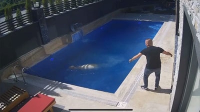 Bursa'da sahibinden kaçan koç havuza atladı