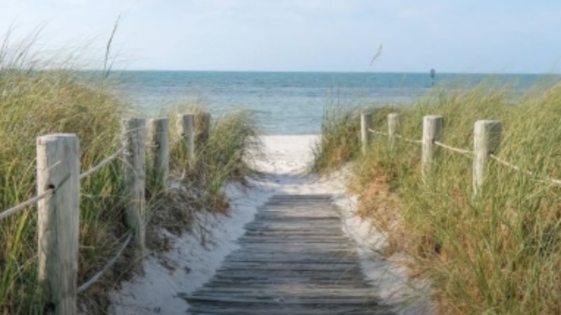 IQ Ölçer: Bu Optik İllüzyondaki Gizli Yengeci 7 Saniyede Görebilen Çıkmadı