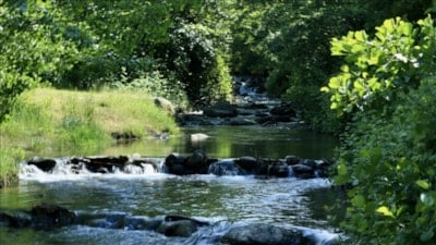 Yeni korumaya alınacak 7 alan belli oldu