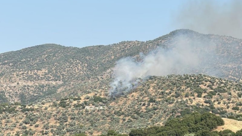 Aydın'da zeytinlik alanda yangın