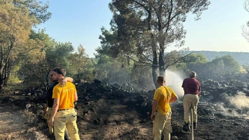 İzmir'de mangal yaparken ormanı yakan şahıs tutuklandı
