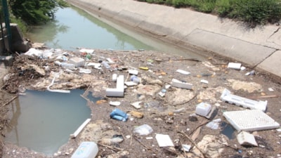 Adana'da kurban atıkları sulama kanallarına atıldı