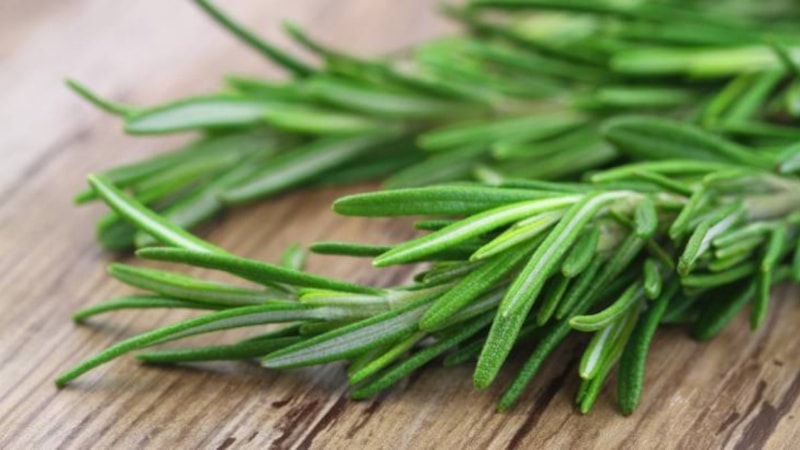 Biberiye ne işe yarar? Biberiye faydaları nelerdir?