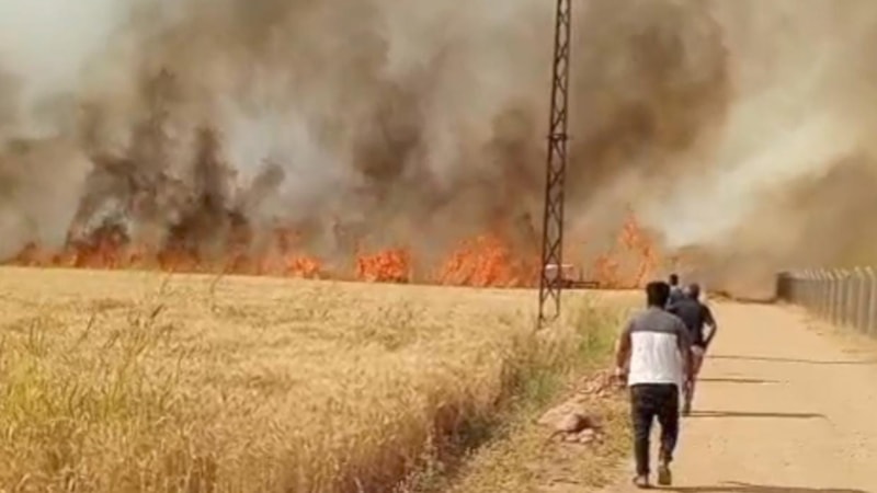 Şanlıurfa'da Harran Ovası'nda 40 dönüm ekili arazi yandı