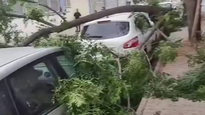 Gaziantep'te şiddetli fırtına: Ağaçlar devrildi, araçlar zarar gördü