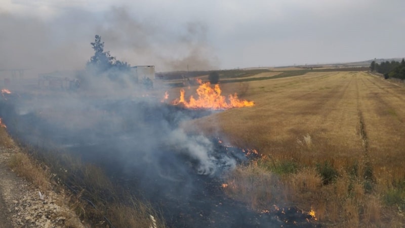 Şanlıurfa'da orman yangını