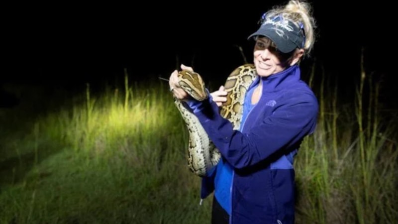 ABD'de piton istilası