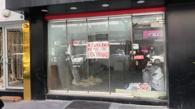 Eskişehir'de boş dükkanda bulunan kediler tartışmaya yol açtı