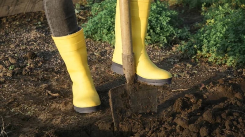 Çiftçilerin iç çamaşırlarını bahçeye gömmelerinin nedeni bakın neymiş
