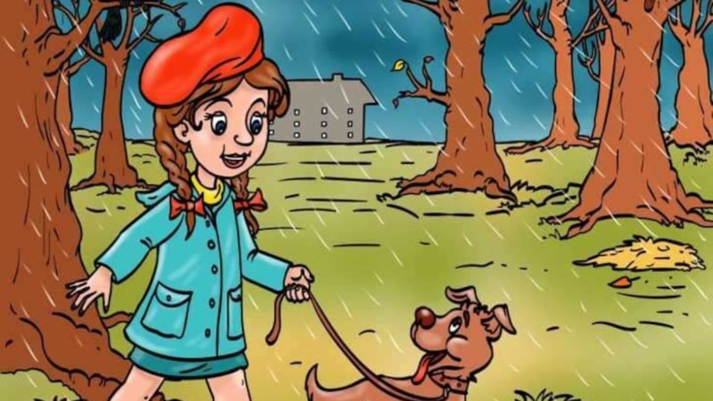 IQ'nuzu hesaplayın: Hatayı kaç saniyede gördünüz