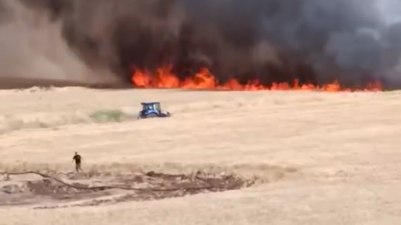 Şanlıurfa'da buğday ekili alan yandı