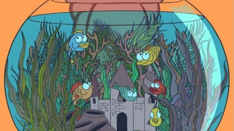 Çılgın illüzyon: Akvaryumdaki tüyü gördüyseniz, yüzde 1'in içindesiniz...