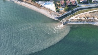 Beylikdüzü sahilinde kirlilik: Marmara Denizi kahverengiye büründü