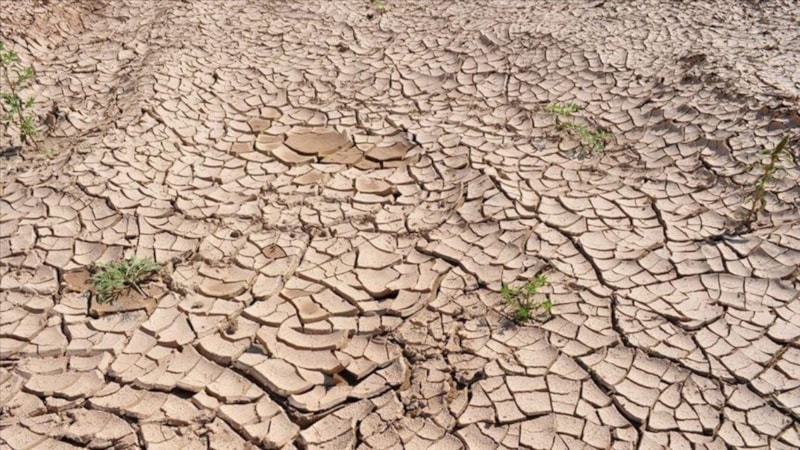 Kuraklık nedeniyle 2050'ye kadar 1 milyara yakın insan göç edecek