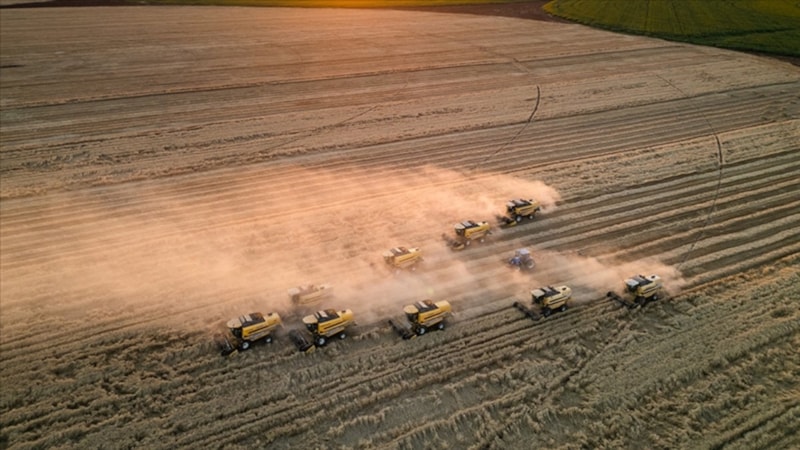 Tarım ÜFE mayısta aylık ve yıllık arttı