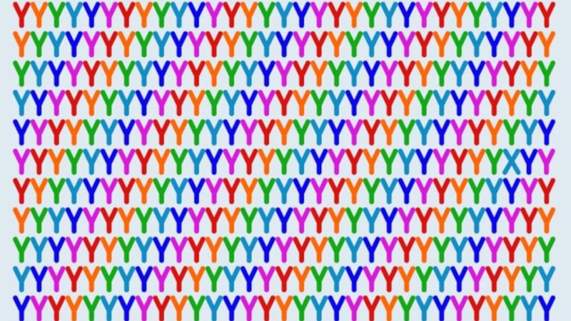 Optik illüzyon: Y'lerin arasındaki X'i bulun! Süper zekanızı ortaya koyun...