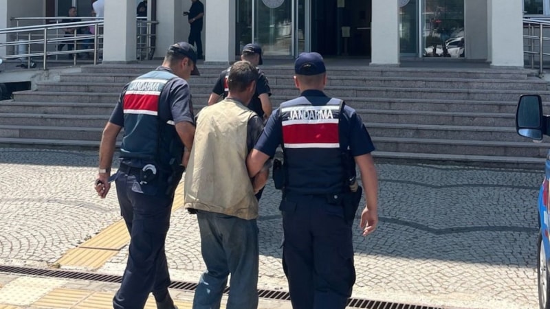 Çanakkale'de arazide 77 kök kenevir ele geçirildi: 1 tutuklama