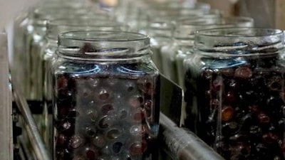 Türk zeytin üreticisi iflas ile burun buruna geldi! 25 bin tonluk üretim kapasitesine sahipti