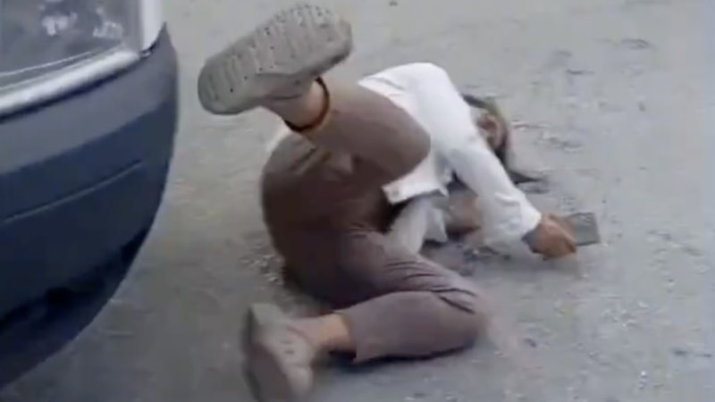 Ankara'da sözde hayvansever, köpekler için kendini yerden yere attı