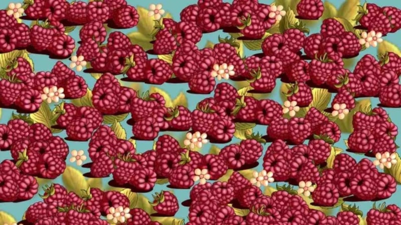 %99'un göremediği test: 5 saniyede çileği bulan zeka testini geçiyor!