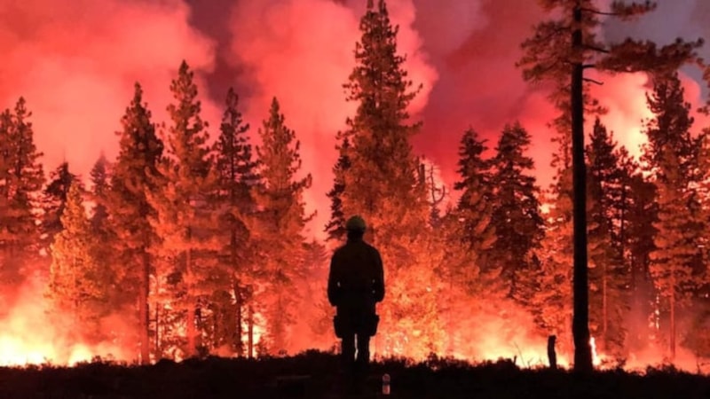 Bilim insanlarından küresel ısınma uyarısı: Sadece 2 yıl kaldı