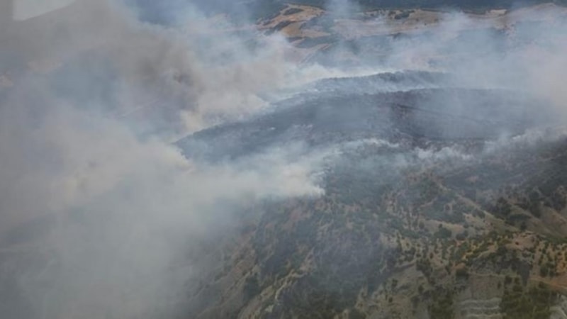 Manisa'da orman yangını