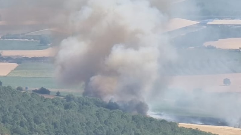 Bursa'da orman yangını çıktı