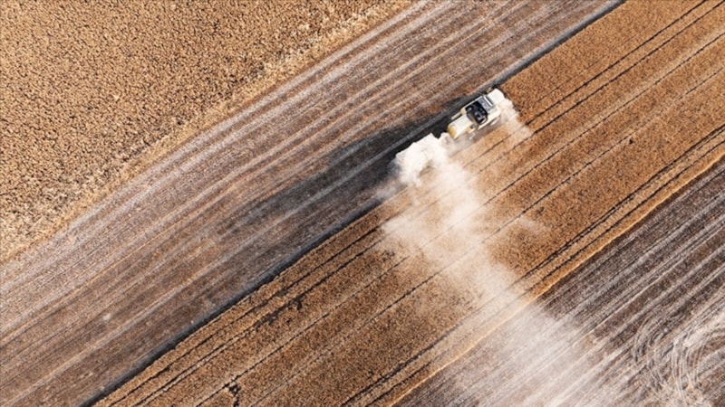 Çiftçilere 263 milyon lira tarımsal destekleme ödemesi