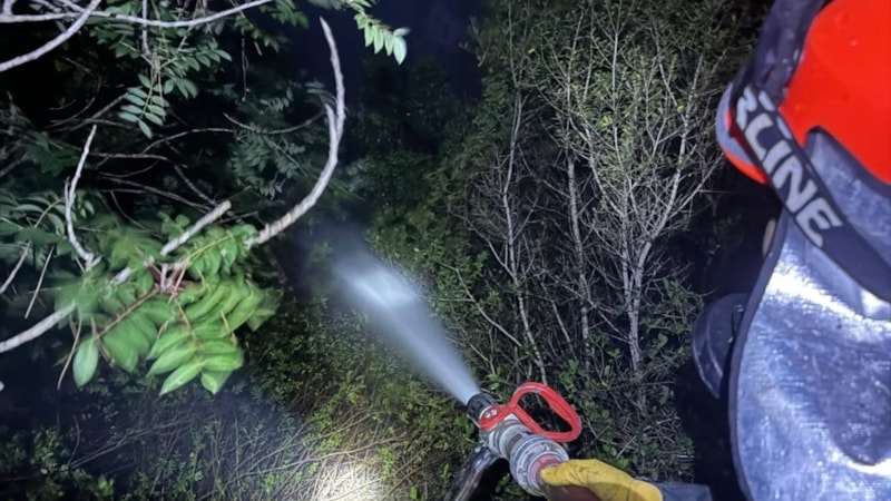 Adana'da orman yangını korkuttu