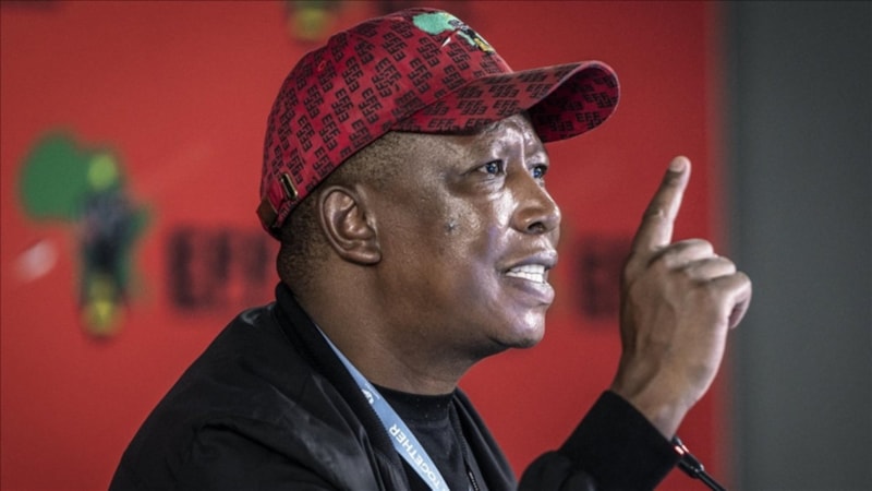 İngiltere, Güney Afrika muhalefet liderine vize vermedi