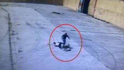 Diyarbakır'da başıboş köpeğin saldırdığı işçiyi arkadaşı kurtardı