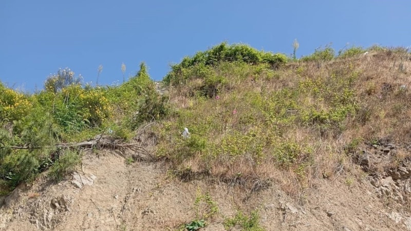 Zonguldak'ta yürüyüş yapan kadın uçurumdan düştü