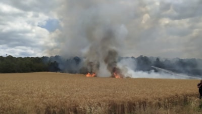 Bursa'da 30 dönümlük buğday tarlası küle döndü