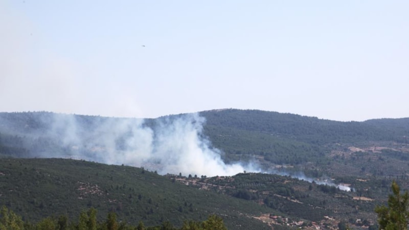 Muğla'da çıkan yangın söndürüldü
