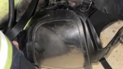 Kastamonu'da dumandan etkilenen kedi, maskeyle kurtarıldı