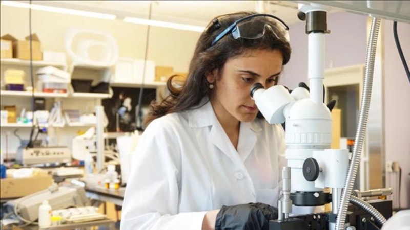 Türk bilim insanı Canan Dağdeviren beyin kanaması geçirdi