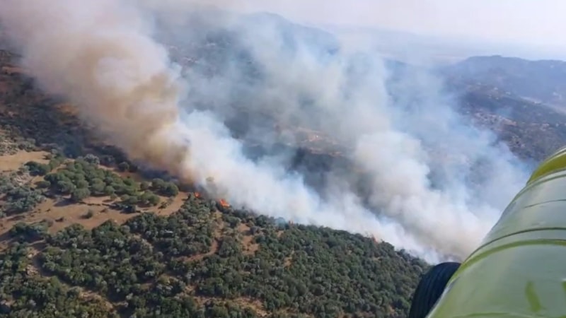 Aydın'da zirai alanda çıkan yangın korkuttu