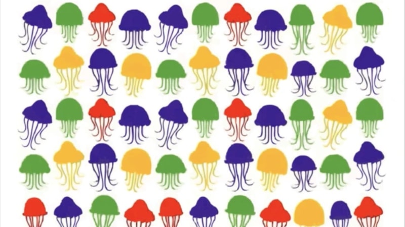 Optik illüzyon: IQ'nuz 130'un üstünde mi? Gizli balonu bulun, kanıtlayın...