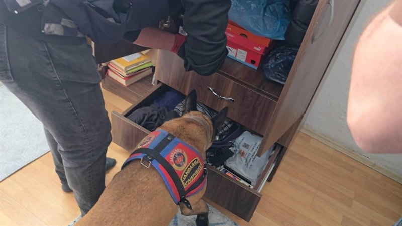 Artvin'de jandarmadan uyuşturucu tacirlerine darbe