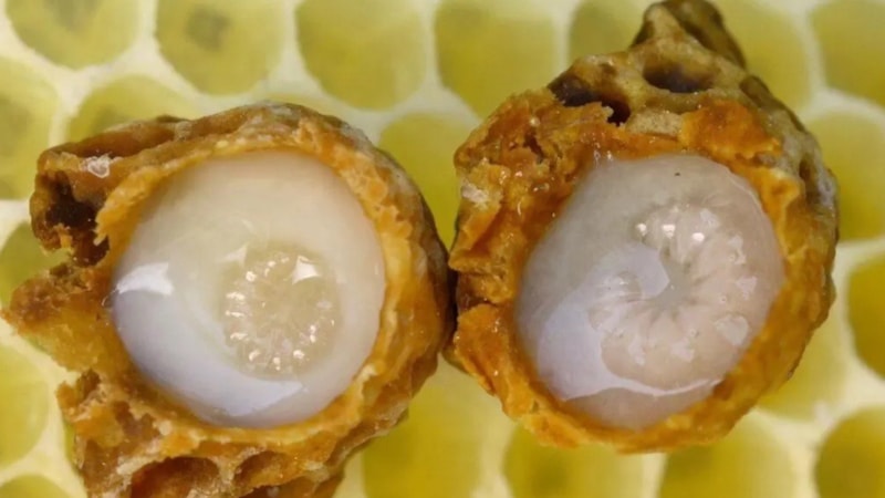 Tatmak için servet gerek! İşte dünyanın en pahalı yiyeceği