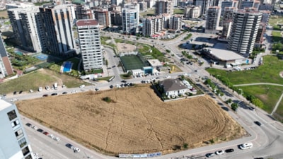 Bursa’da milyon dolarlık lüks gökdelenlerle çevrili tarlada buğday hasadı