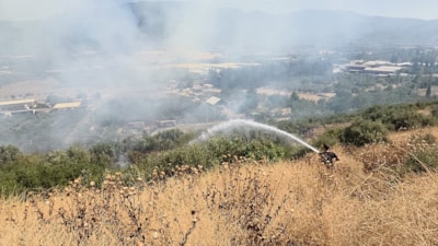 Bursa'da çıkan iki orman yangını kontrol altında