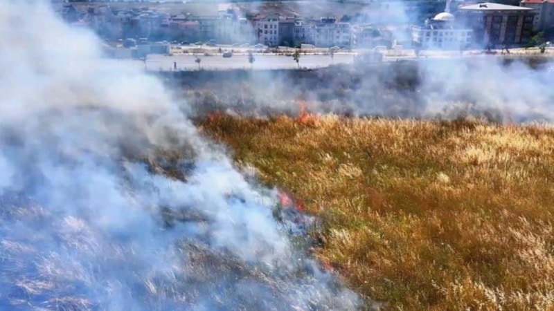 Küçükçekmece'de otluk alanda yangın