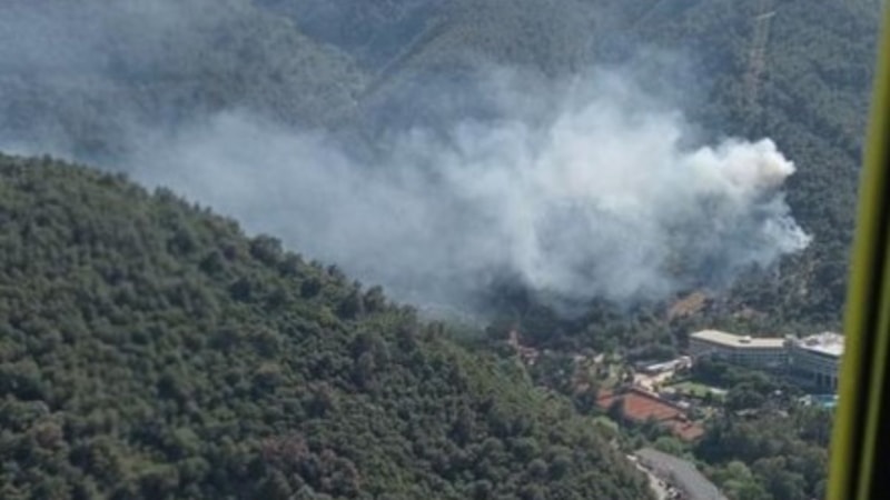 İzmir'de orman yangınları