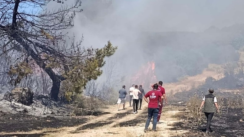 Manisa'da semaver yakarken ormanı yakan kadına ev hapsi