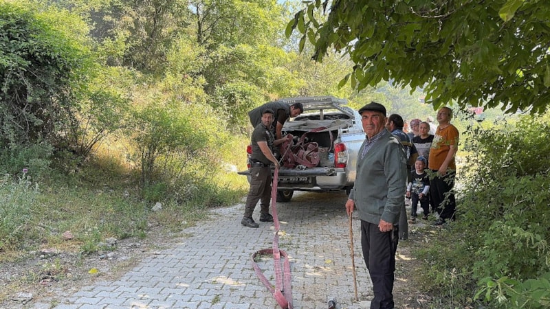Kastamonu'da bahçede çıkan yangın eve sıçramadan söndürüldü