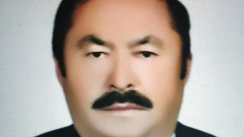 Trabzon'da arı tarafından sokulan adam öldü