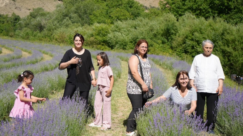 Erzincan'da emekli öğretmenin kurduğu lavanta bahçesine ilgi